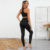 Kinetic Seamless Mesh Legging Sets